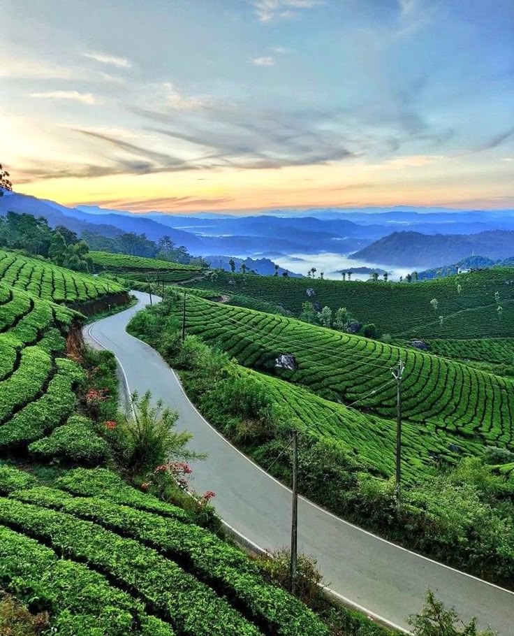  "Munnar tea plantations Kerala tour places"